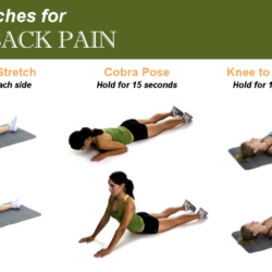 Exercises to relieve lower back pain
